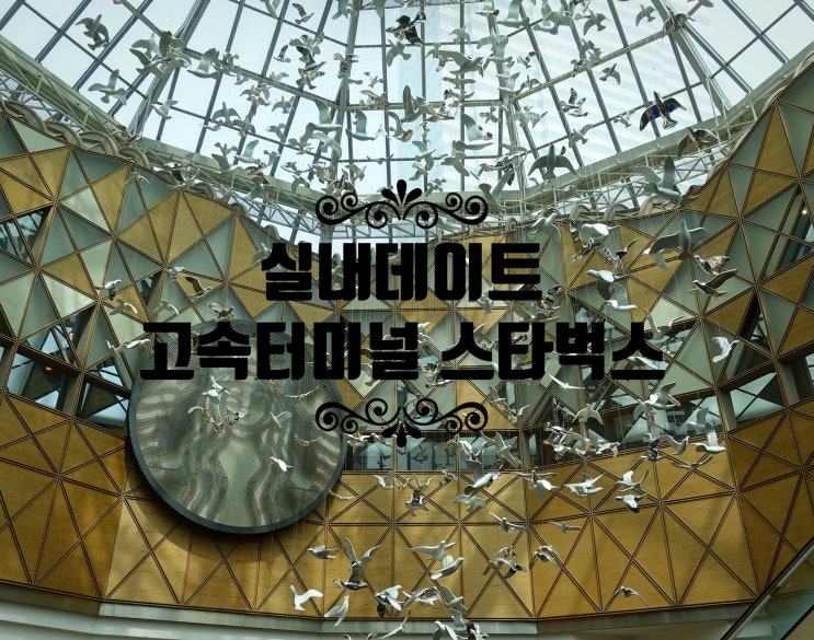  실내데이트 고속터미널 카페 스타벅스 (꼭 가보세요)