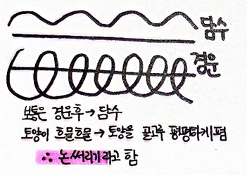  [식용작물학 요약] 벼의기술(본답준비, 모내기)