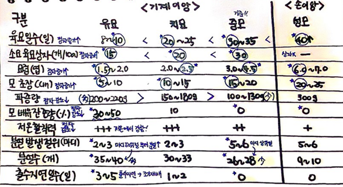  [식용작물학 요약] 벼의 기술(재배양식, 종자준비,육묘)