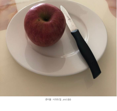  누가누가 과일 잘 깎나 챌린지?!