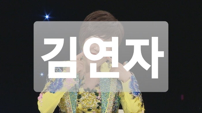 김연자 나이 남편 결혼 이혼 남자친구 재혼 집 자녀 일본 가발