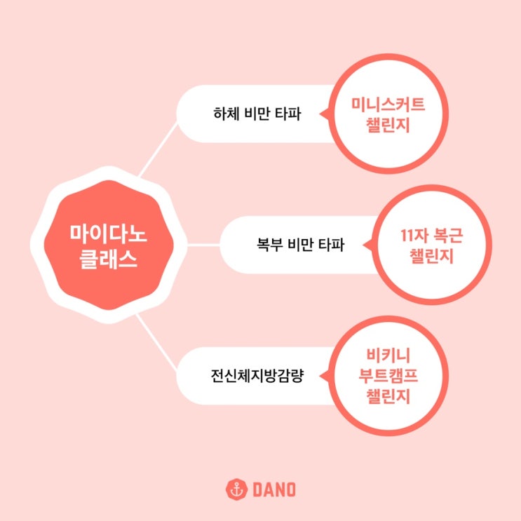  마이다노 베이직케어 클래스 비교 후기 (추가로 하면 좋은 유튜브 운동 공유!)