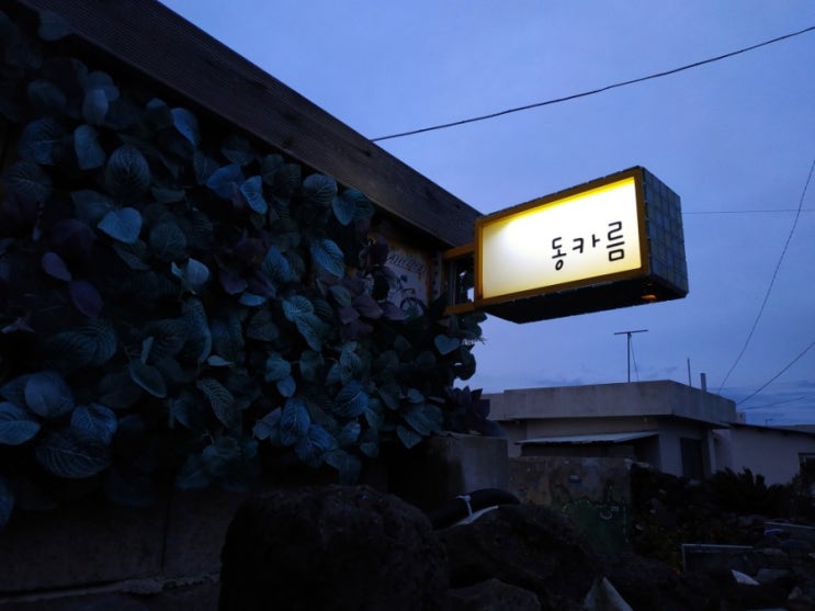  제주 함덕 맛집 / 조천읍 신촌리 낚지볶음 동카름