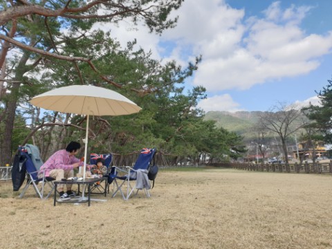  제천 솔밭공원에서 파라솔치고  힐링타임