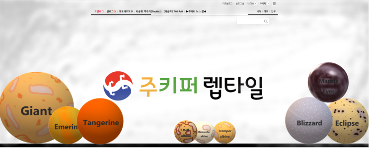 [주키퍼 렙타일] 이번 주 뉴스 - 레오파드게코를 시작하고 키우는 사람들에게 작지만 가치 있는 정보를 드리겠습니다. |ZKR| 새로운 소식