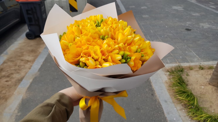  경산 중산동 꽃집 새경산꽃직판장 도소매라 가격은 저렴 꽃은 싱싱해요 가성비 끝판왕
