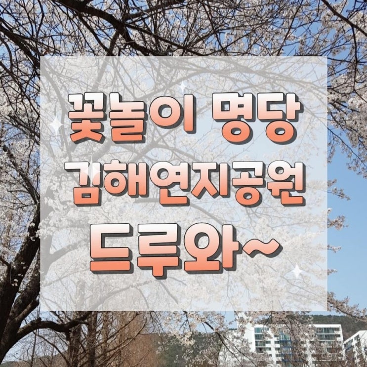 김해 연지공원 벚꽃 튤립[2020년 3월24일][화]