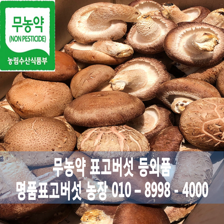  [쇼킹세일] 명품표고버섯농장 표고버섯 등외품 1kg  7000원 1box 2kg 보고 결정하시죠~