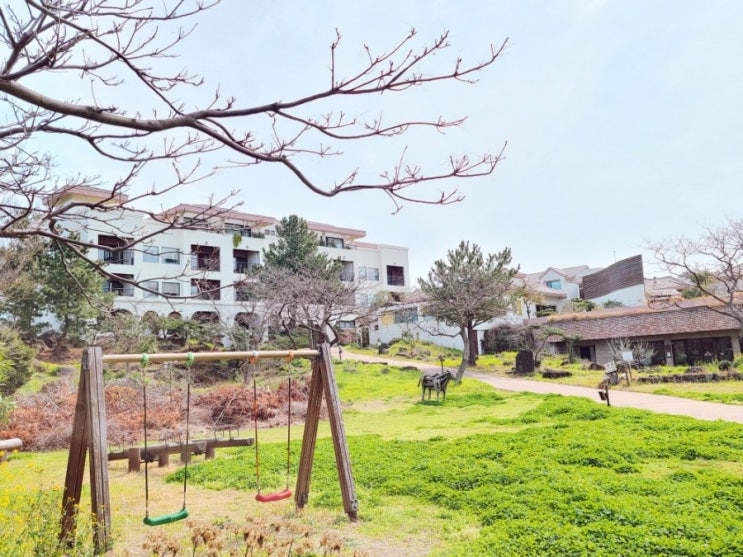  햇살이 비치는 아침