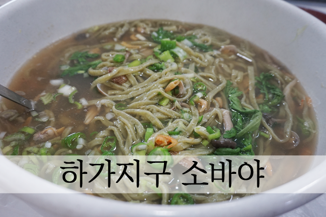  전주 하가지구 칼국수 - 덕진동 소바야
