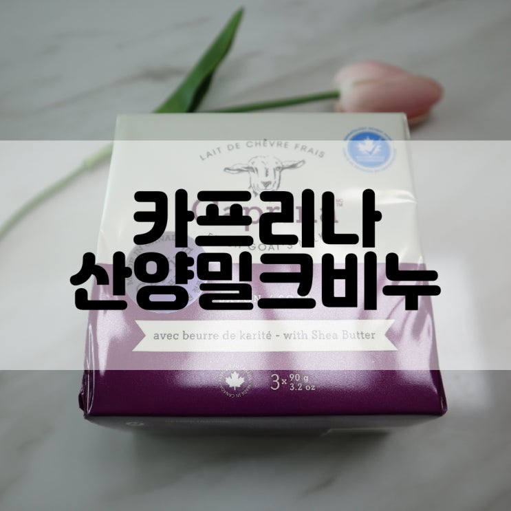  (비누추천) 캐나다비누 카프리나 Caprina 산양밀크비누
