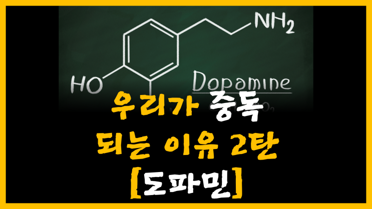  우리가 중독되는 이유 2탄 [feat. 도파민]