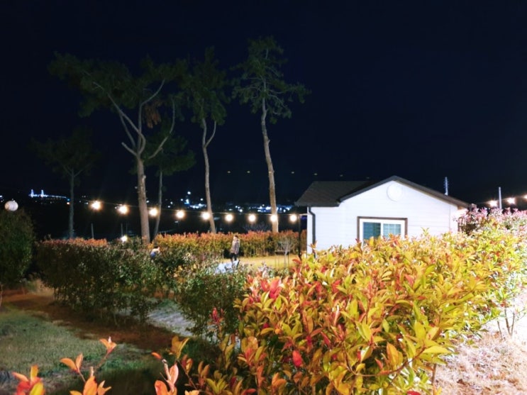  코로나19 자연속 펜션의 하룻밤 완도독채펜션에서 쉬어가자.