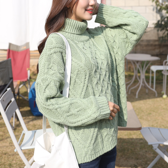 (로켓배송)빼빼 여성용 꽈배기 터틀넥 목폴라 니트티셔츠 가격정보 (로켓배송)빼빼 여성용 꽈배기 터틀넥 목폴라 니트티셔츠 가격정보