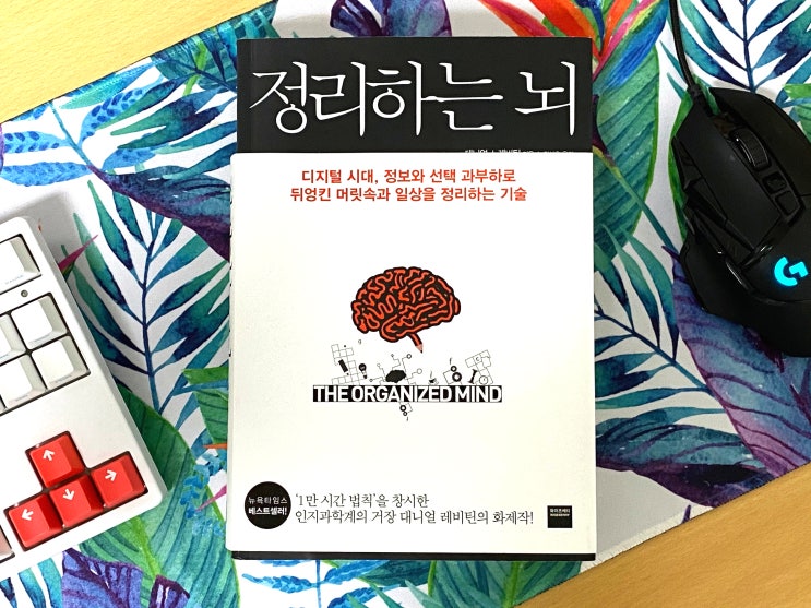  정리하는 뇌. 선택 과부화 탈출을 위한 서적