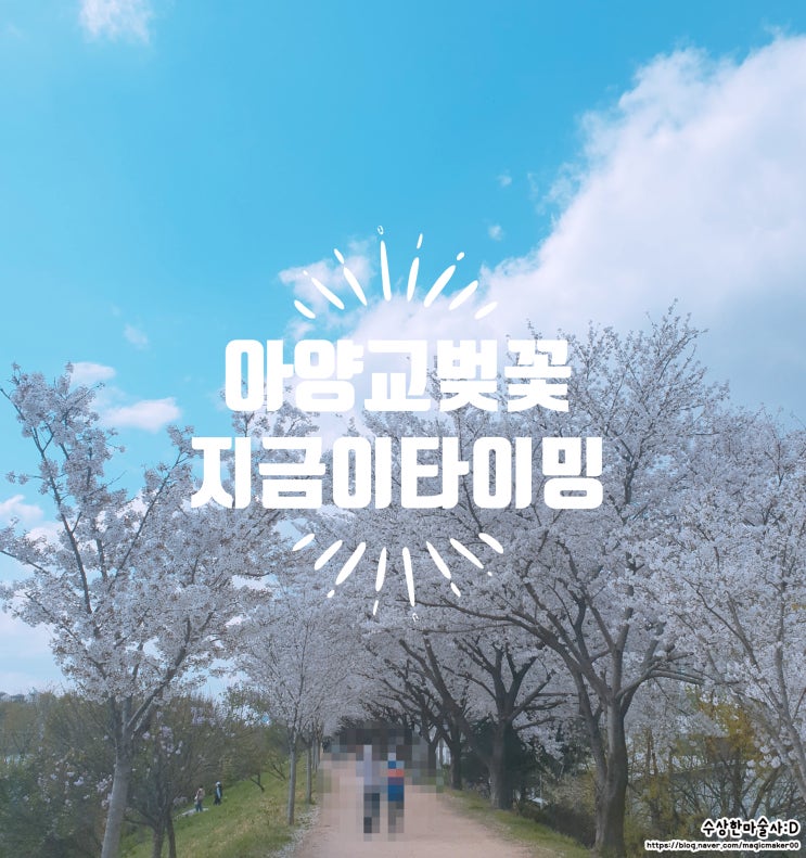  대구 아양교 벚꽃 터널 너무 예뻐 지금이 타이밍 :D
