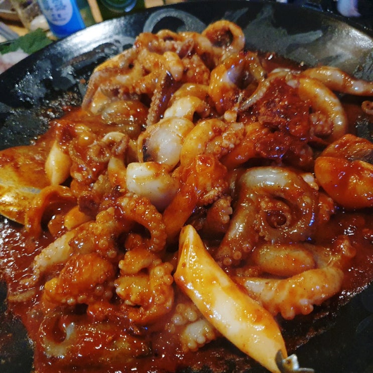 [강남/뱅뱅사거리 맛집] 나만 알고 싶은 횟집, 고래똥! 철판쭈꾸미, 참소라, 묵은지광어... 배터지도록 먹은 날.