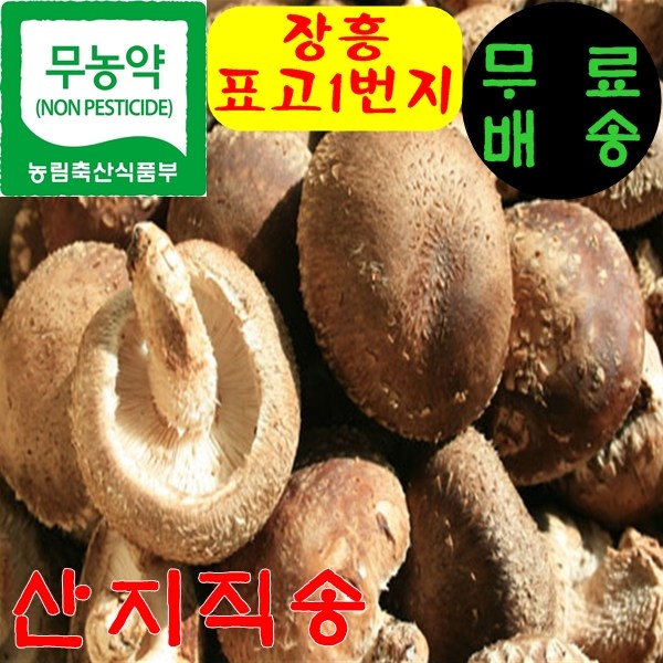 오늘의 핫딜가격 표고1번지 장흥 무농약 생 표고버섯 1kg 1박스 보고 결정하세요!!