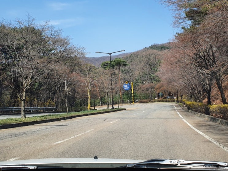  성남운전연수 방문 도로교육 최고!