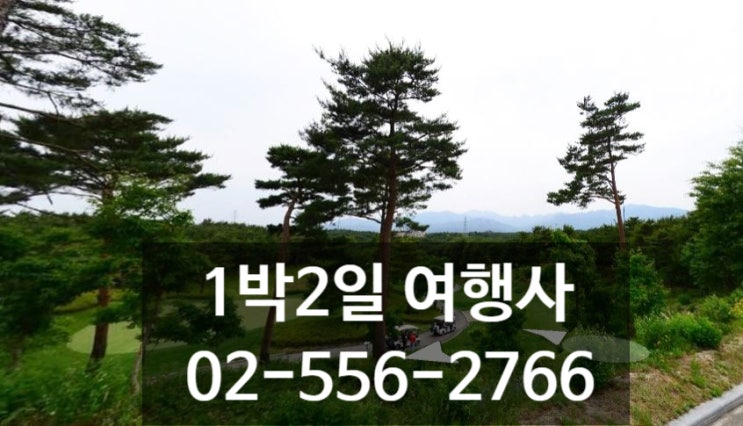  설악썬밸리cc 4~5월 봄 패키지요금 인하 이벤트 고성 파인리즈cc 2인 가능합니다~