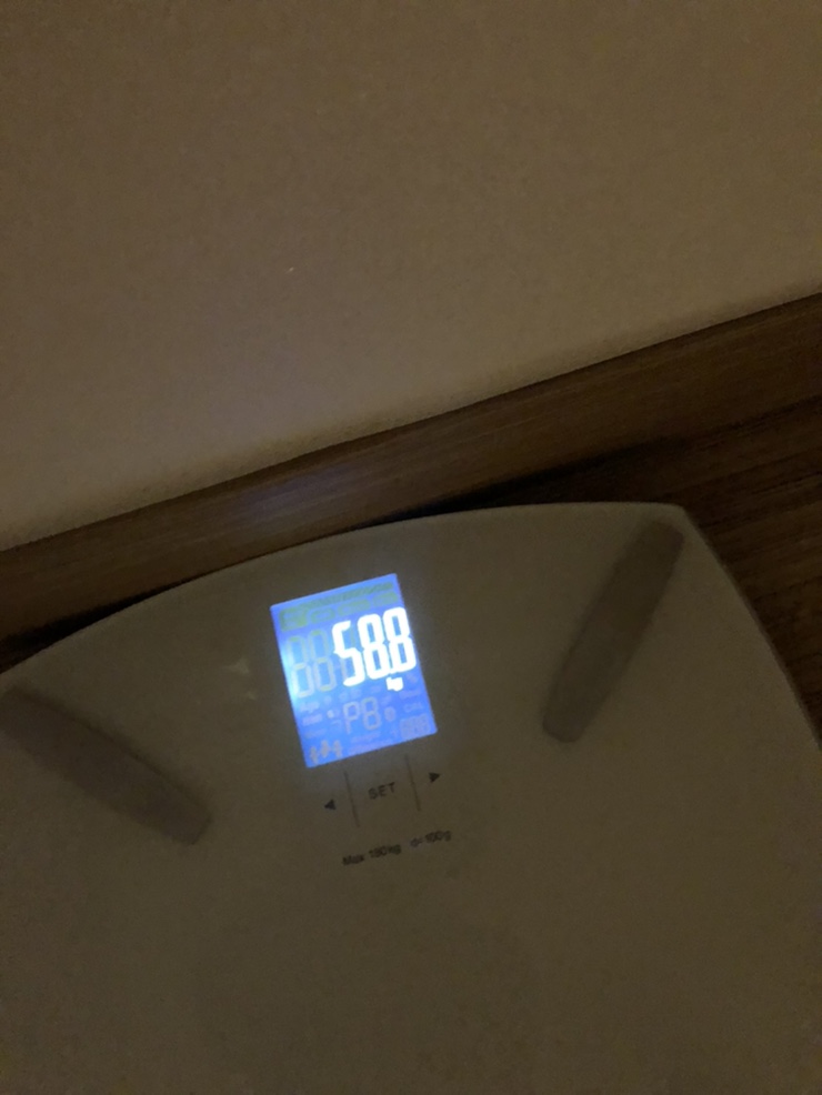 [체중기록]-59 목표체중 57kg