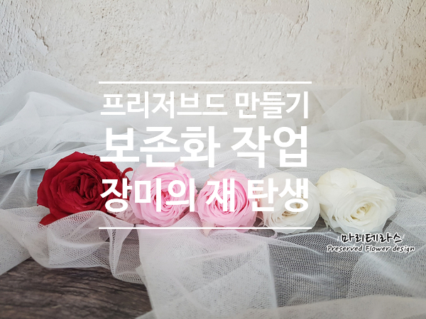  프리저브드플라워 만들기 보존화 작업 장미의 재탄생