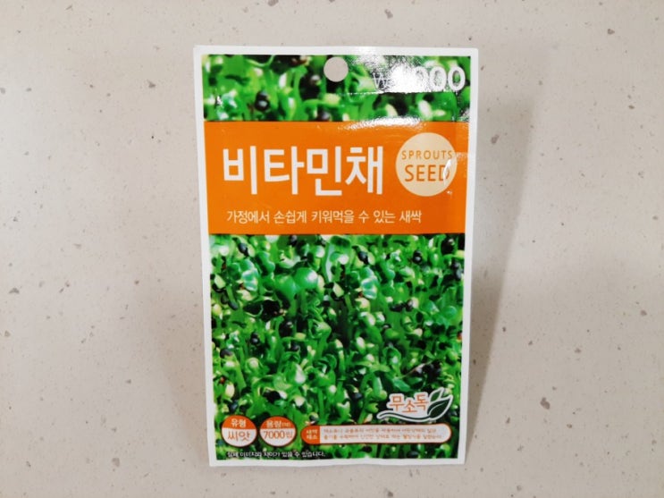  비타민채 새싹키우기 도전