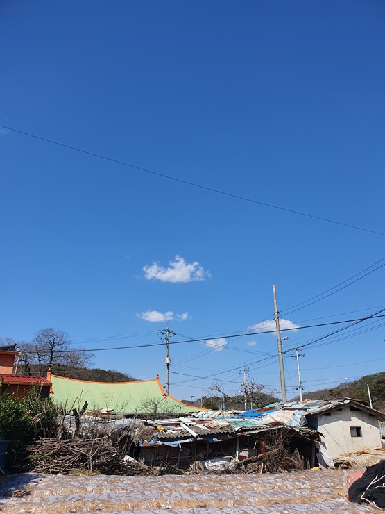  [아빠 일상] 산과 들, 논 밭으로 채집 다녀왔어요