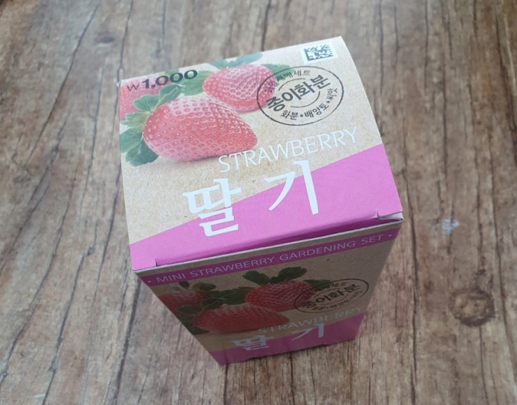  딸기 키우기, 딸기 씨앗 심기 - 다이소 딸기