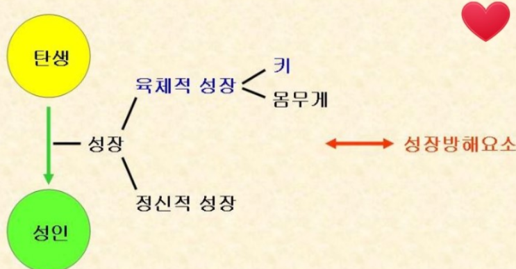  수원한의원 성장에 관한 고민 탱자한의원에서~