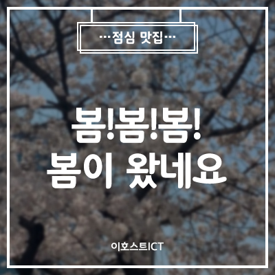  [이호스트 일상] 봄봄봄봄봄이 왔네요~