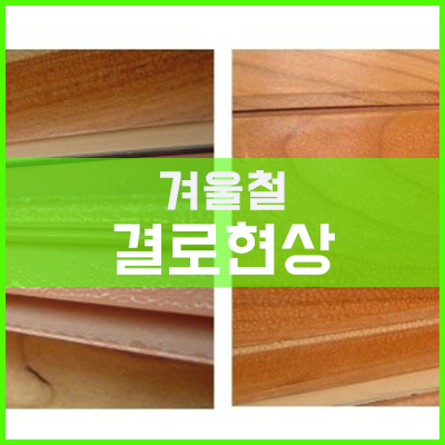 창문과 유리에서 발생하는 결로 현상