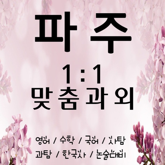  파주 수학과외 운정신도시 영어과외 국어 일대일 맞춤수업