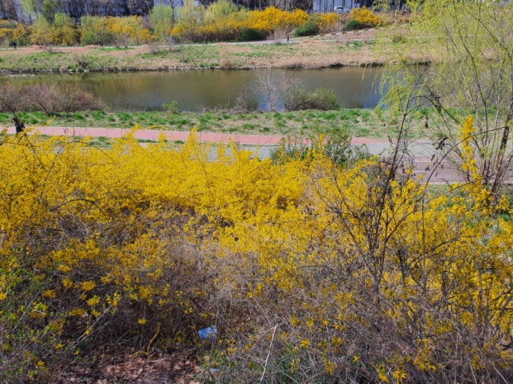  비타민D 자외선 받으며 건강하게 주말 보내기 ~~