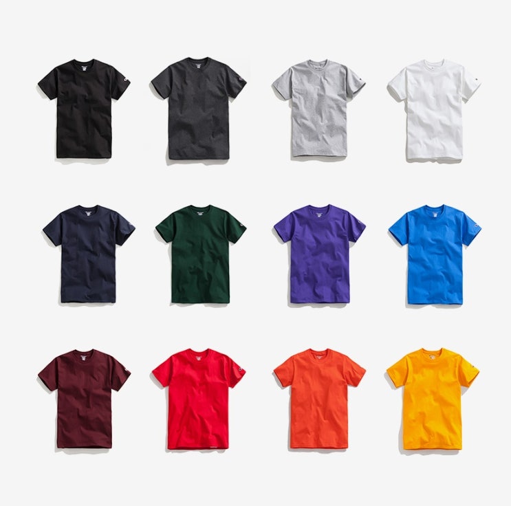 CHAMPION 챔피온 반팔 T425 무지 반팔티 (2PACK) T425 ADUT SHORT SEEVE TSHIRT