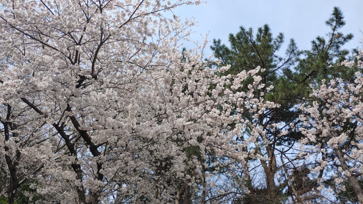 상가를 구할(구하는 방법)때는 상세하게 말할수록 좋다! 상가를 구할(구하는 방법)때는 상세하게 말할수록 좋다!