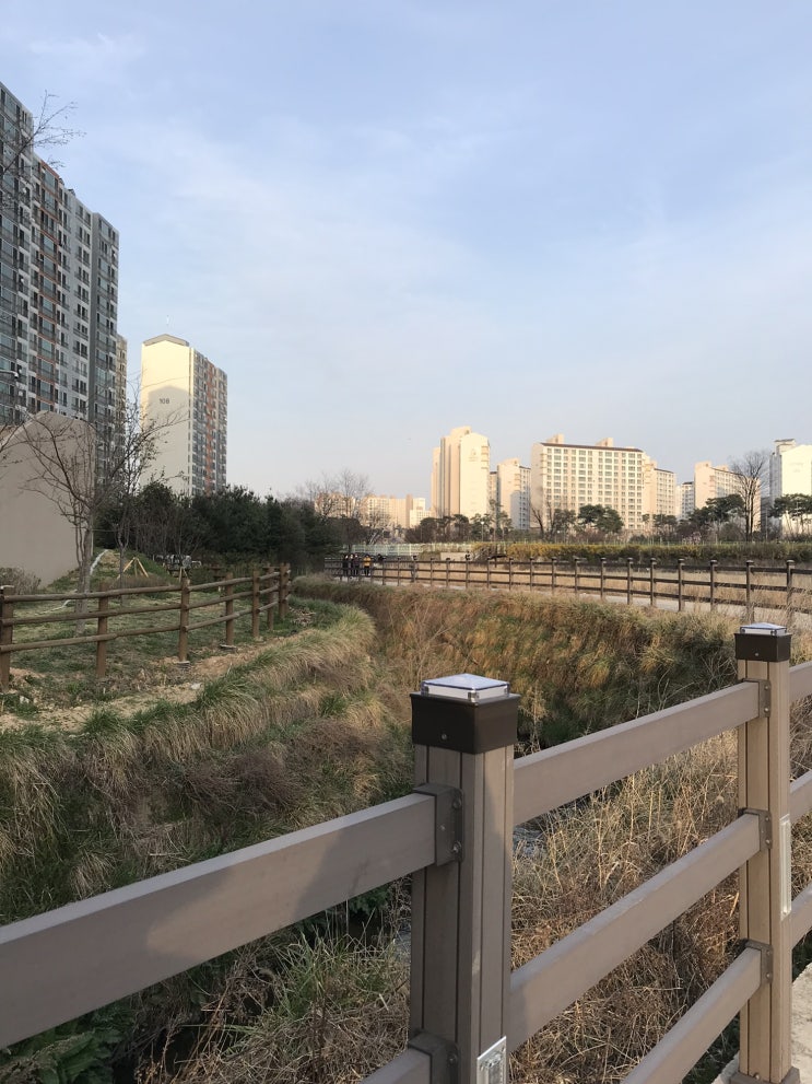  [일상] 2020.03.29 / 진~~짜 오랜만에 외출(#산책 #집앞_꽃구경)