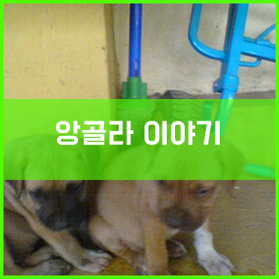 앙골라에서의 생활 앙골라에서의 생활