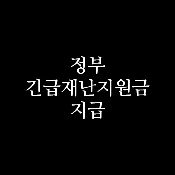  소득 하위 70% 가구에 100만원씩 생계지원금 지급