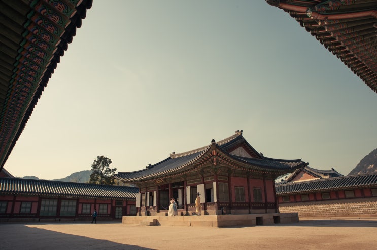  [D700] 경복궁 벚꽃 스냅사진