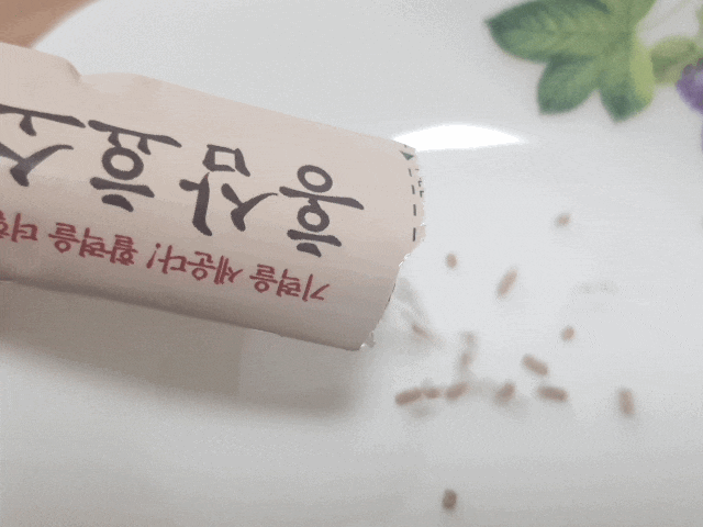 푸른친구들 몸에 좋은 홍삼효소력으로 기력채우기!! 푸른친구들 몸에 좋은 홍삼효소력으로 기력채우기!!