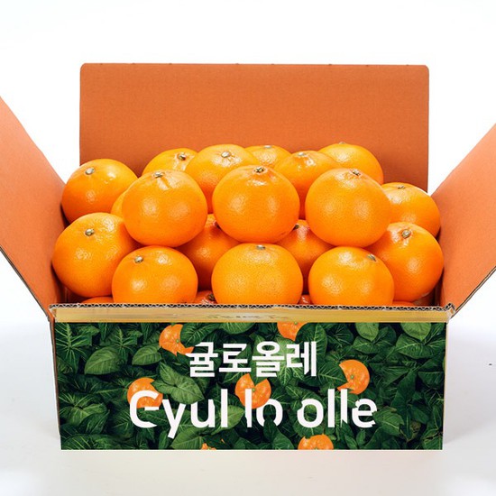 제주직송 귤로올레 고당도 천혜향3Kg 소과가정용, 없음, 상세설명 참조 추천해요 제주직송 귤로올레 고당도 천혜향3Kg 소과가정용, 없음, 상세설명 참조 추천해요