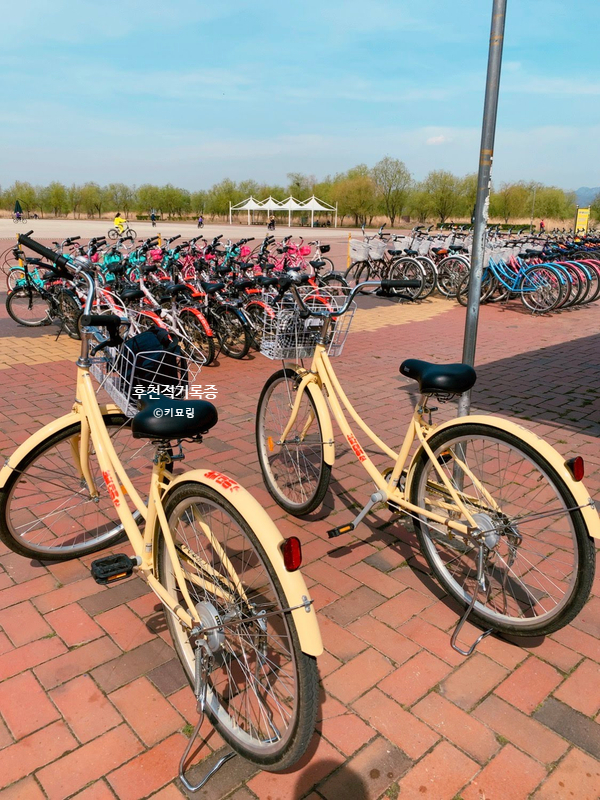 사상 자전거 대여 가격, 위치 : 삼락생태공원 자전거