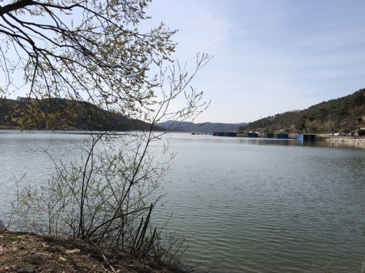 용인 한가한 산책코스 추천 - 용덕저수지