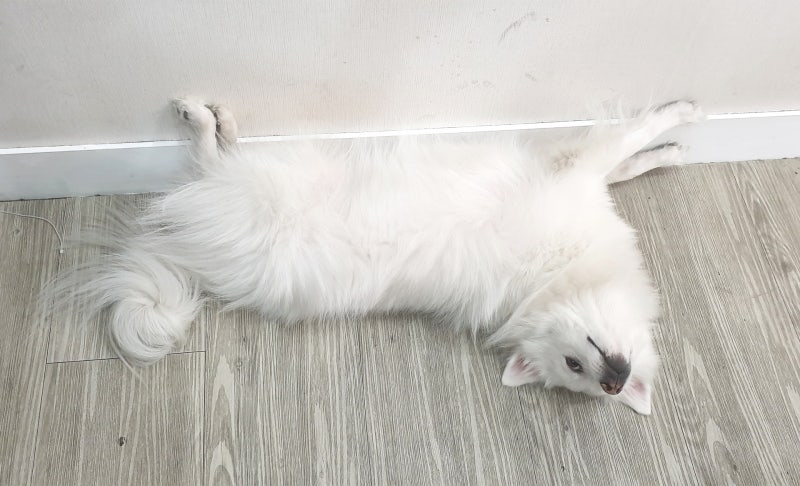 사진 5