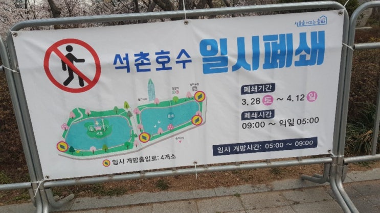  석촌호수 일시폐쇄 그래도 벚꽃은 활짝^^