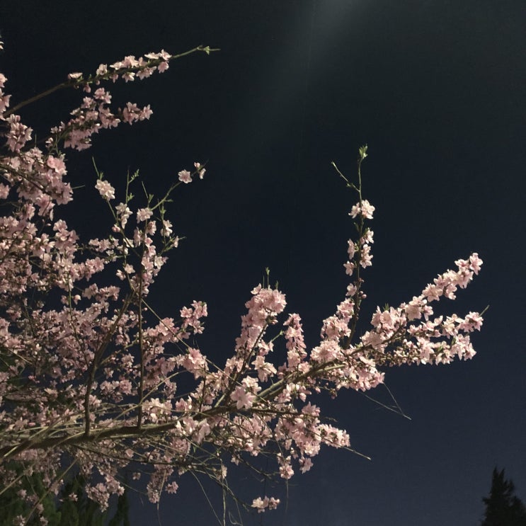  2020.03 한 달 정리