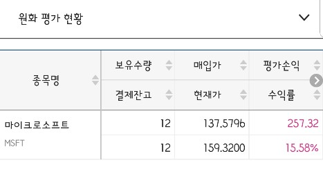  미국 주식 투자 [마이크로소프트 델타항공]