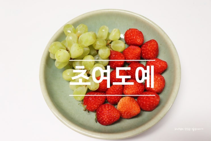  세제가 필요없는 건강한 생활자기 초여도예