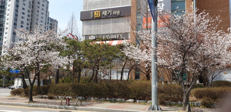  TGI프라이데이 음식이 왜 이렇게 짜니?